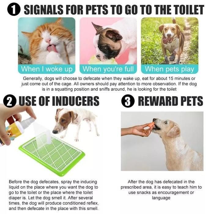 Natural Potty Training Spray for Dog & Cat (Pack of 2) 30ml each