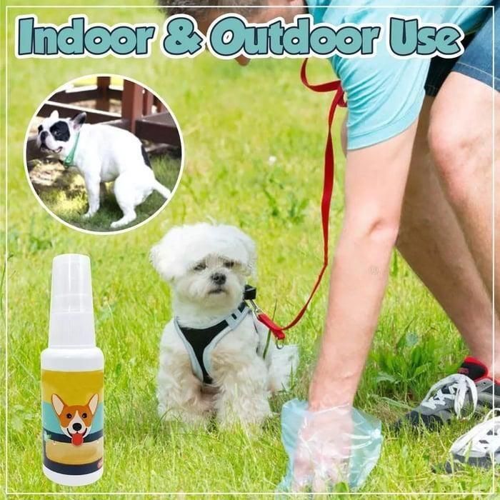 Natural Potty Training Spray for Dog & Cat (Pack of 2) 30ml each