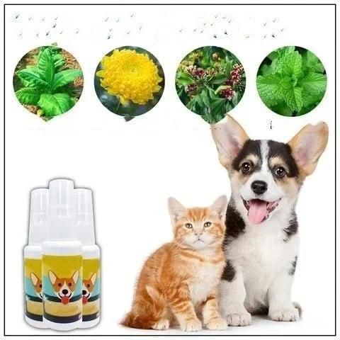 Natural Potty Training Spray for Dog & Cat (Pack of 2) 30ml each
